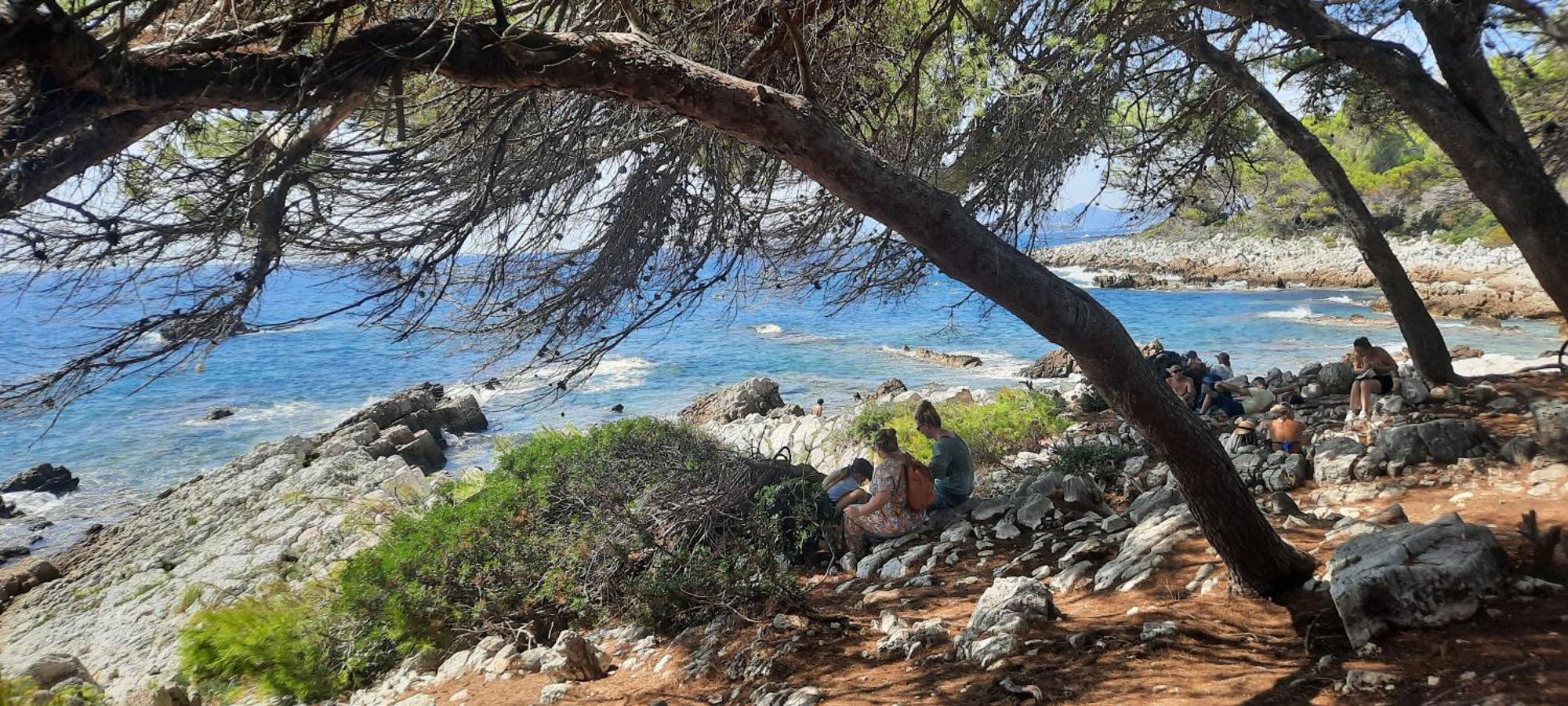 Studio Sun-Beach Avec Parking Et Jardin - 500M Des Plages De Juan Les Pins Αντίμπ Εξωτερικό φωτογραφία