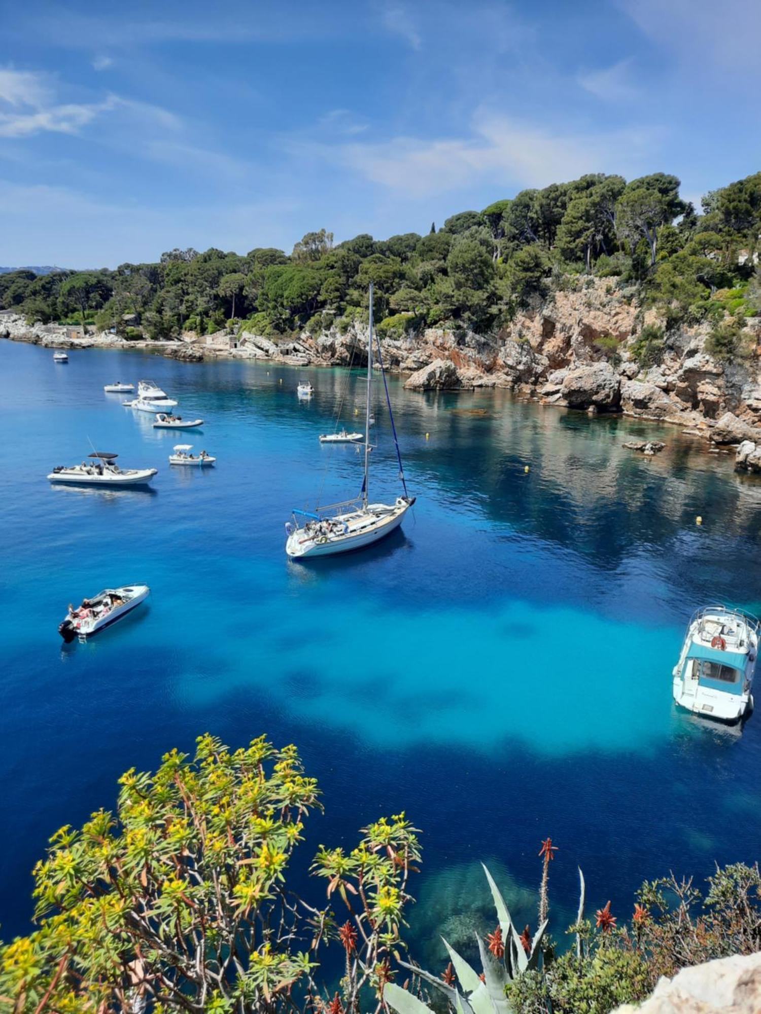 Studio Sun-Beach Avec Parking Et Jardin - 500M Des Plages De Juan Les Pins Αντίμπ Εξωτερικό φωτογραφία